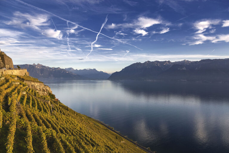 Pourquoi l’altitude joue un rôle clé dans le goût du vin