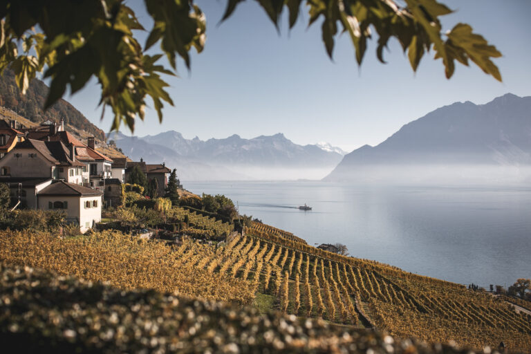 Cinq astuces pour réussir un accord mets-vin simple avec un vin suisse