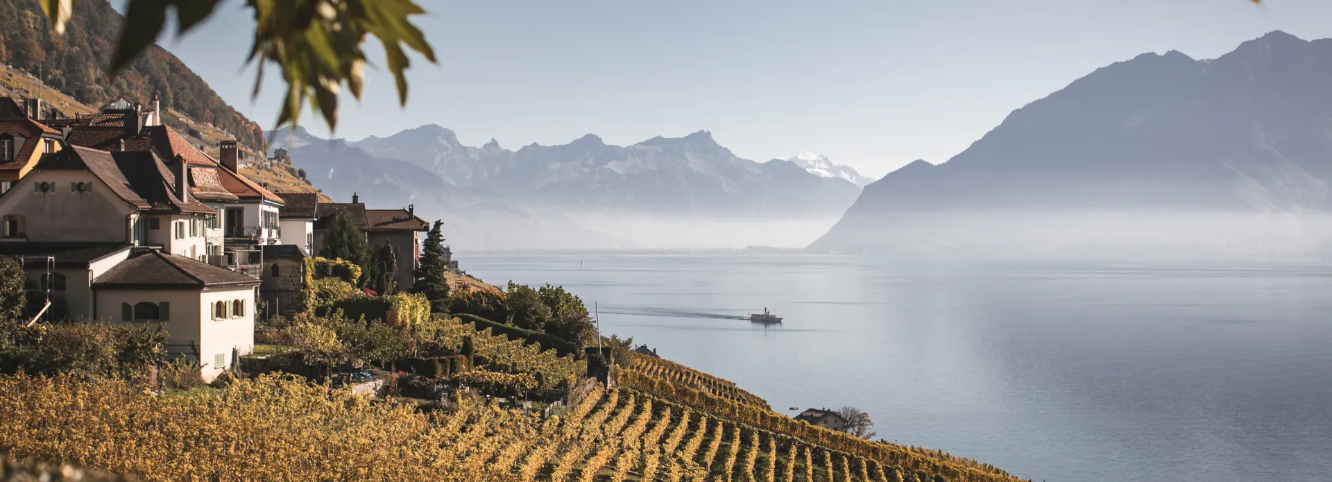 Nos vins arrière plan