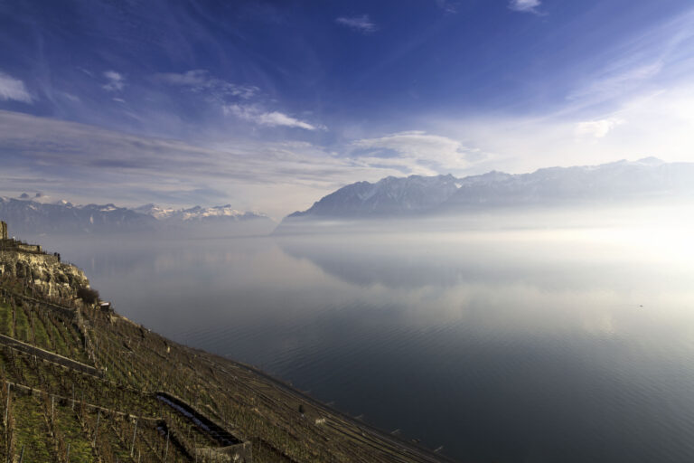 L’influence du Lac Léman sur les arômes du vin suisse d’Epesses