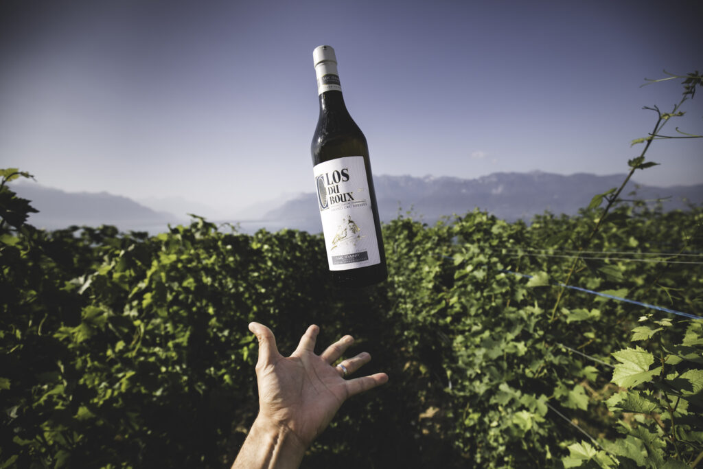 Une bouteille de Epesses Clos du Boux lancée par une main au milieu des vignes