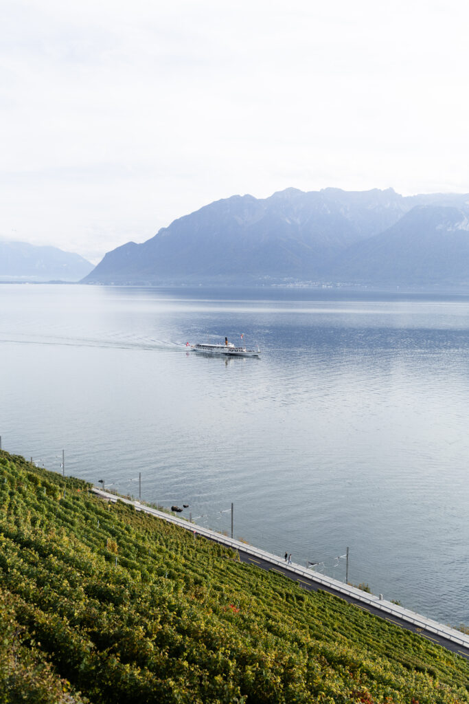 Des vignes surplombant le lac Léman