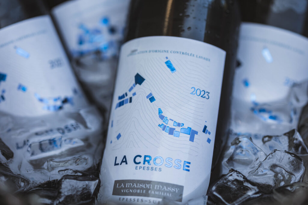 Zoom sur des bouteilles de vins dans un bac à glaçons