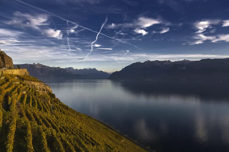 Lavaux : vins de paysages ou de mémoire ?