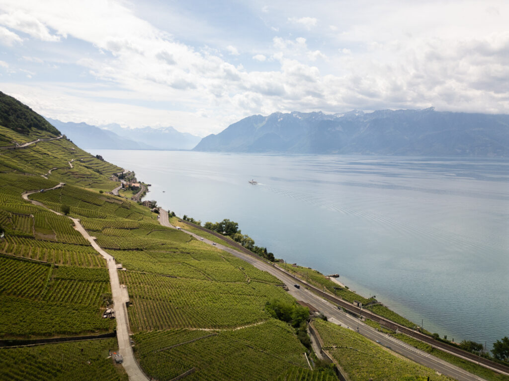 Terrasse de vignes au bord du lac Léman