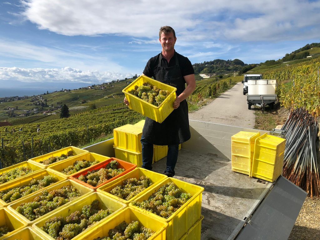 Un vigneron qui empile des bacs de chasselas