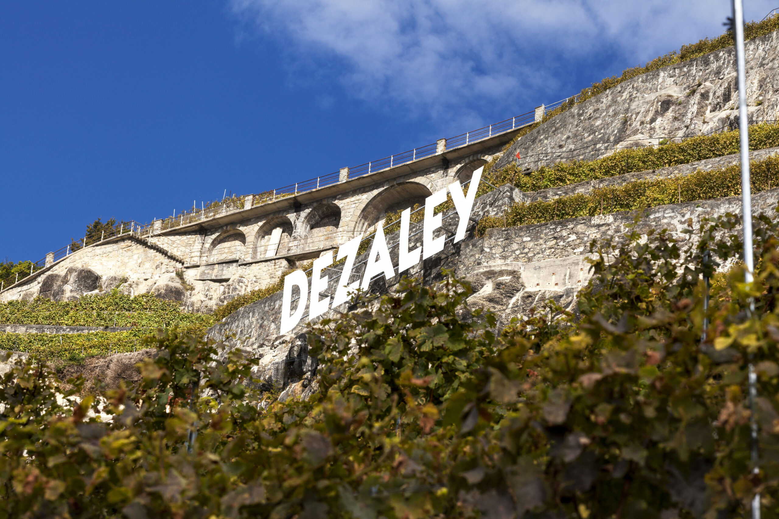 Dézaley Chemin de Fer : l’histoire d’un grand cru de Lavaux né au bord des rails